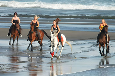  Horse Riding And Snorkeling Packages