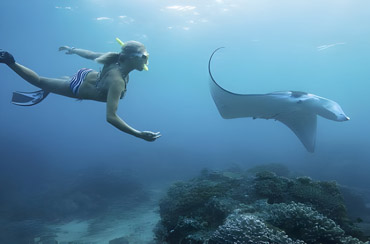 Manta Bay Snorkeling