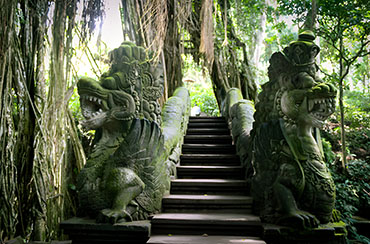 Ubud Monkey Forest